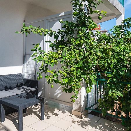Apartments Polly Primošten Eksteriør bilde
